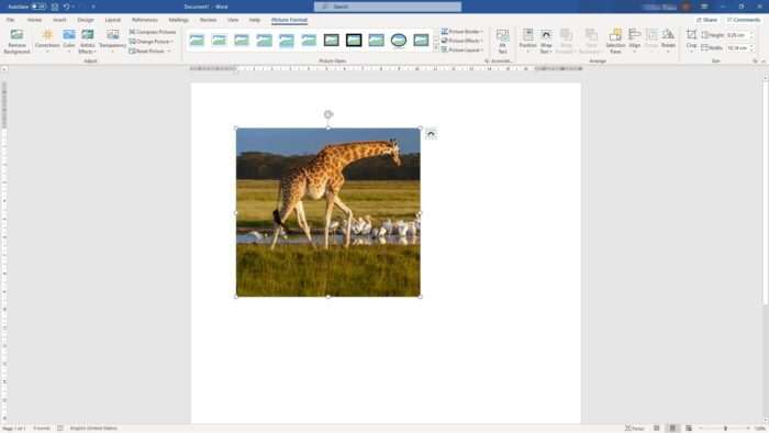 cropped picture microsoft word Cara Gampang Memotong/Crop Gambar di Microsoft Word 8 cropped picture microsoft word