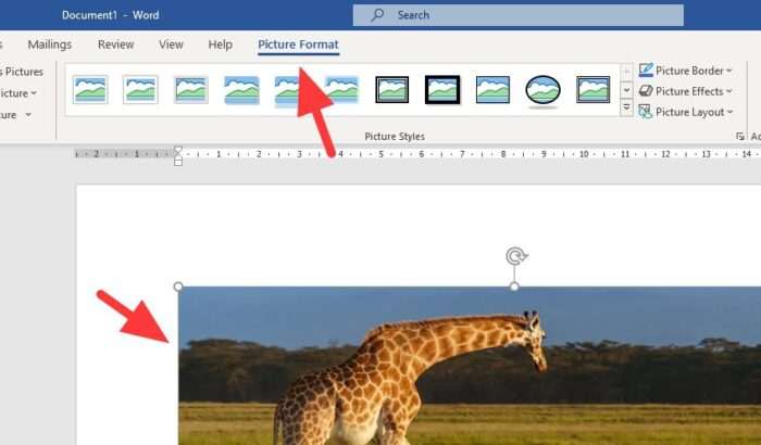 picture format 6 Cara Gampang Memotong/Crop Gambar di Microsoft Word 4 picture format 6