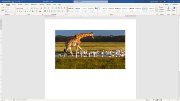 Cara Nak Crop Gambar Di Microsoft Word