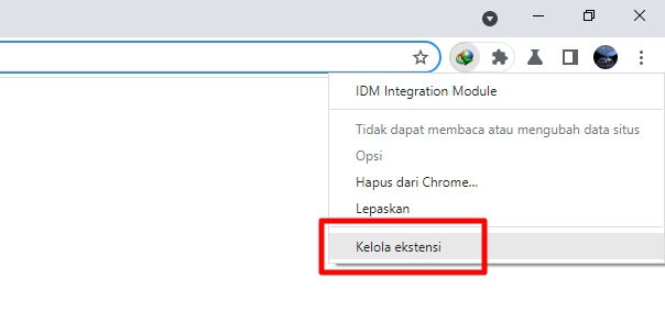 kelola ekstensi Cara Menambah Ekstensi IDM di Chrome Agar Bisa Download 5 kelola ekstensi