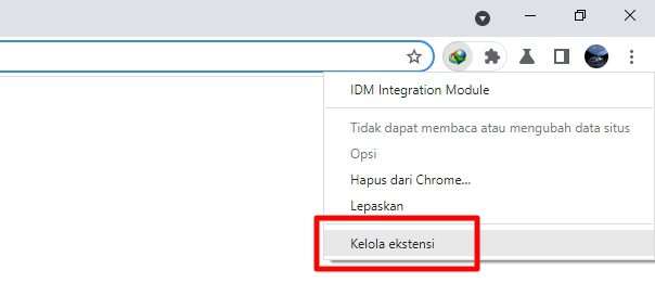 kelola ekstensi Cara Menambah Ekstensi IDM di Chrome Agar Bisa Download 7 kelola ekstensi