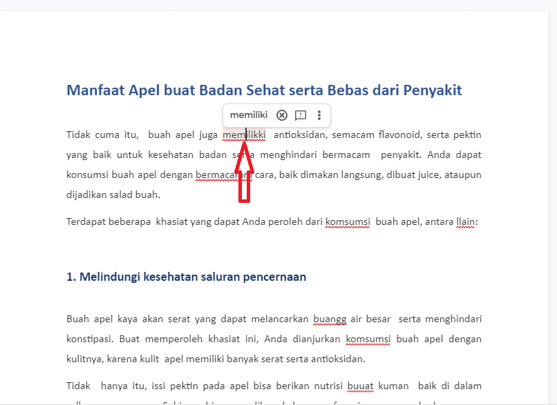 3 Cara Mengecek Typo Teks Bahasa Indonesia Secara Online