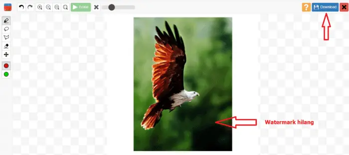 Cara menghapus watermark 5 3 Cara Menghapus Watermark Pada Foto Secara Online 11 Cara menghapus watermark 5
