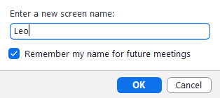 screen name 2 Cara Ganti Nama di Zoom PC atau Laptop dengan Mudah 8 screen name