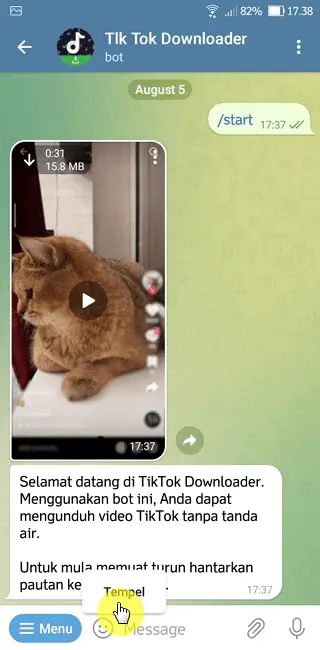 Screenshot 20220805 173806 Cara Download Video TikTok Tanpa Watermark di Telegram 7 Screenshot 20220805 173806