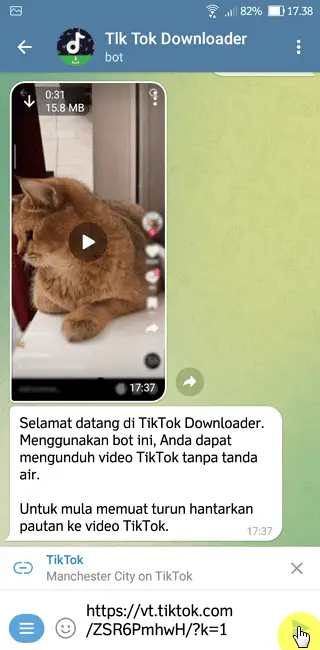 Screenshot 20220805 173814 Cara Download Video TikTok Tanpa Watermark di Telegram 8 Screenshot 20220805 173814
