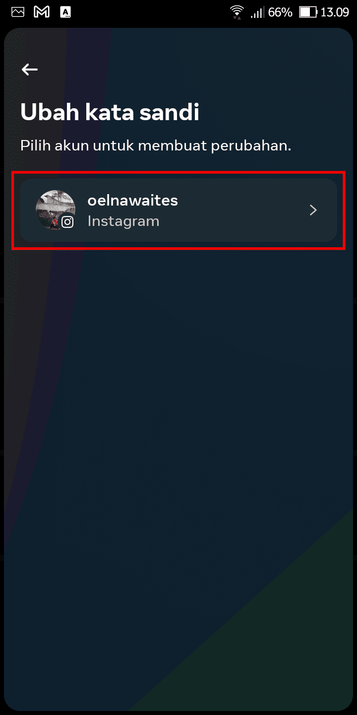 Cara Mudah Reset Password Instagram Saat Kamu Lupa