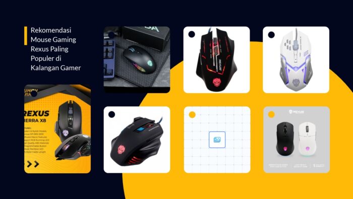 Rekomendasi Mouse Gaming Rexus Paling Populer di Kalangan Gamer