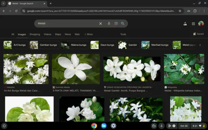 Cara Mudah Menyimpan Gambar dari Web ke Chromebook