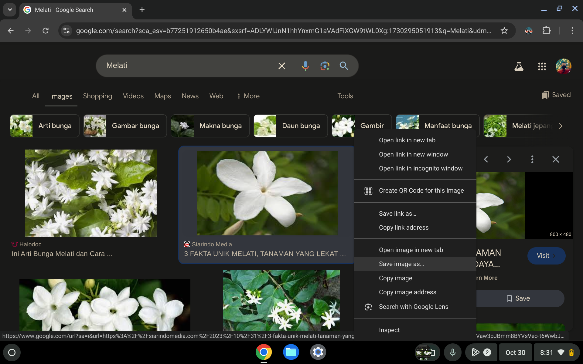 Screenshot 2024 10 30 8.31.28 PM Cara Mudah Menyimpan Gambar dari Web ke Chromebook 3 Screenshot 2024 10 30 8.31.28 PM