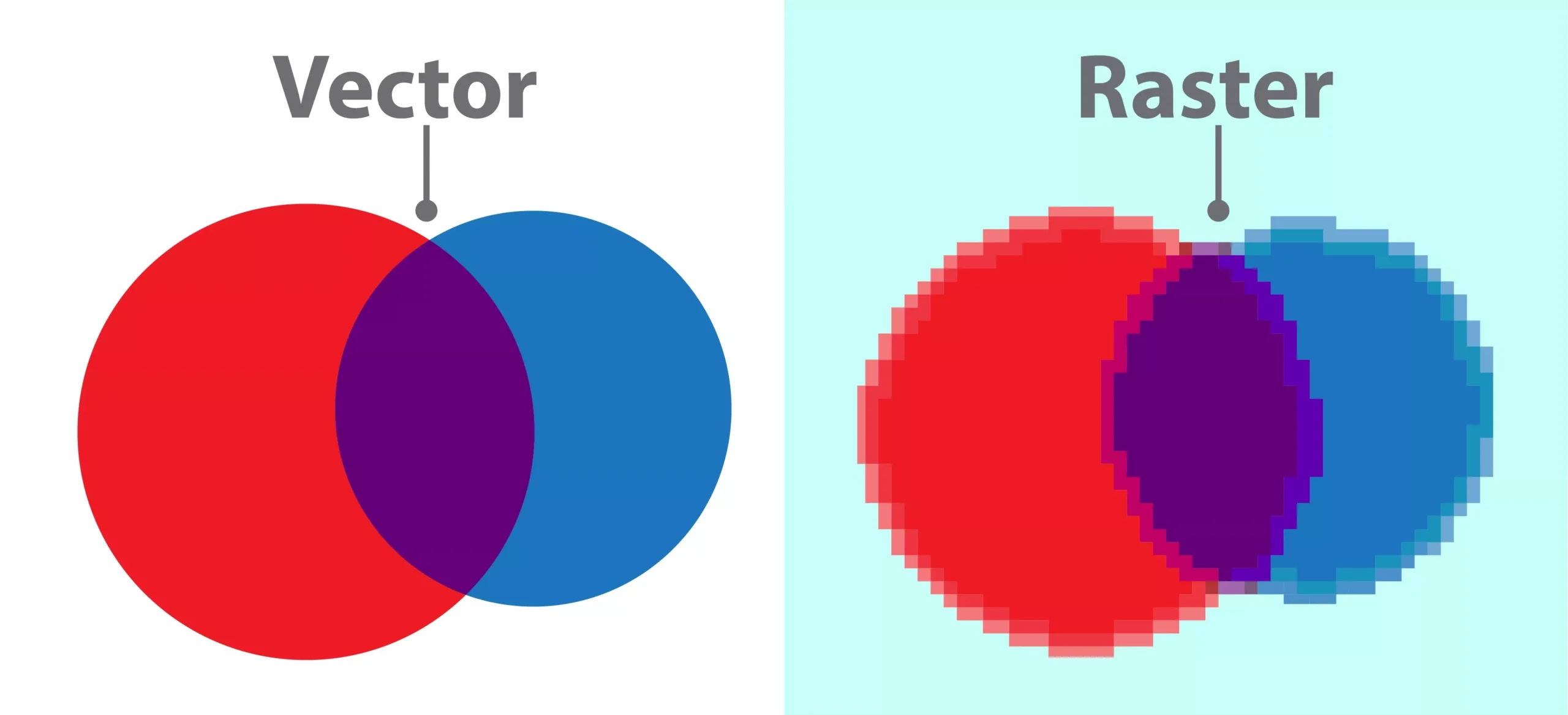 Vector vs Raster scaled Cara Mengkonversi Gambar Menjadi Grafik Vektor 3 Vector vs Raster scaled